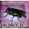 Figurinhas da gabi  11