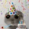 Aniversáriante/@ive_stickers  6