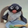 Pingüino Enojado 🐧😡 21
