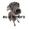 Oq tu quer tá mole 🔥🕺 7