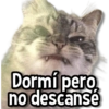 Memes Variaditos🫶🏻 8