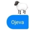 Ojeva