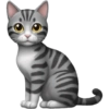 🐱 Pet Cats | Emoji Style 8