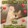 É MUITO AMOR ❤️🫶🏼 15