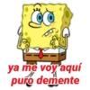 Bob Esponja 🌟💢🟡 12