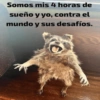 🐬•Animalitos•🐬 14