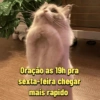 Oração as 19h pra sexta-feira chegar mais rapido