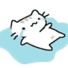 🌈🐱✨️Gatito Funny Mood✨️🐱🌈 15