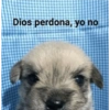 Memes variados 🤭🤩 11