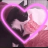 Gatinhos boiolinhas 15