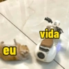 Ratinho debochado  12
