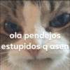 ola pendejos estupidos q asen