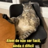 Além de não ser facil, ainda é difícil