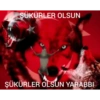 Everyone loves a turkish girl 10