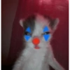 Gatos parte 1 20