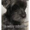 Flor 16