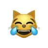 Emojis de iPhone 27