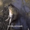 me rindo, ya no puedo