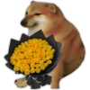 🌻💐 Желтые цветы 3 💐🌻 8