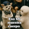 Eso bb muestra cuerpo