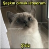 Şaşkın olmak istiyorum gumbalmodum Ş'siz umbalmodum