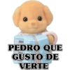 PEDRO QUE GUSTO DE VERTE