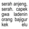 serah anjeng serah. capek gwa ladenin orang bajigur kek elu