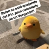 🚨RANDOM para ti 3🫵🏻😎 11