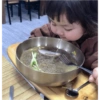 Bimba coreana 22