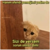 Hanım efendi yemeğimi yedim de gumbalmodum Cumbalmodun Sizi de yersem sorun olmaz dimi