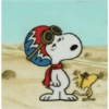 Ás do deserto
