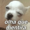 MEMES & Reações 30