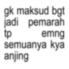 gk maksud bgt jadi pemarah tp emng semuanya kya anjing