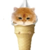 Kucing Anomali 4 12