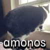 amonos