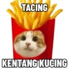 Kucing Anomali 4 9
