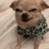 Col