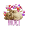 Michis memes 😹😼 10