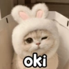 oki