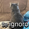 te ignoro