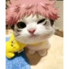 8684