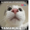 Love yani aşk 14
