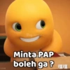 DINO BUCIN 7