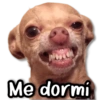 Me dormi