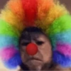Macaquinhos fofos 🤣😍 5