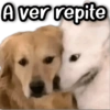 A ver repite
