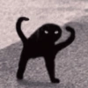 Gatos memes 14