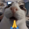 📌🌈🐈✨️Gatos Funny Mood✨️🐈‍⬛🌈 28