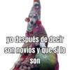 yo después de decir son novios y que si lo son