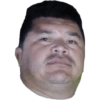 Gato 28